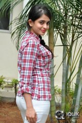 Sheena Shahabadi at Nuvve Naa Bangaram Press Meet